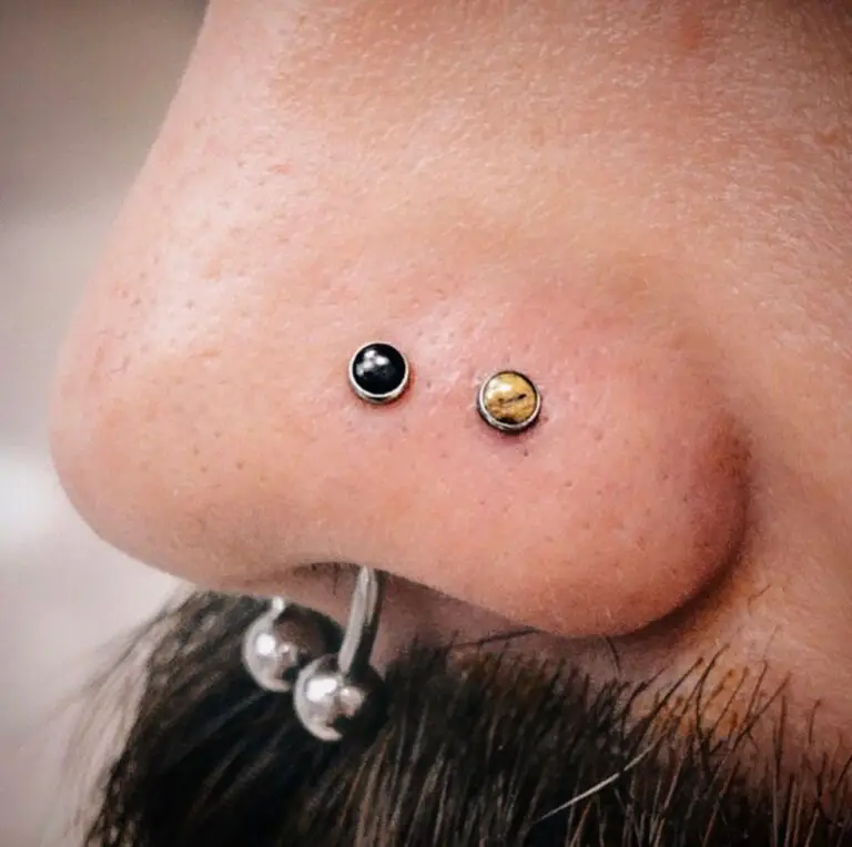 Close-up of a person's nose featuring two stylish nose piercings with small round studs — one black and one gold — and a septum piercing with a silver horseshoe-shaped ring and two silver balls. The skin texture and facial hair are clearly visible, emphasizing the piercings' details.