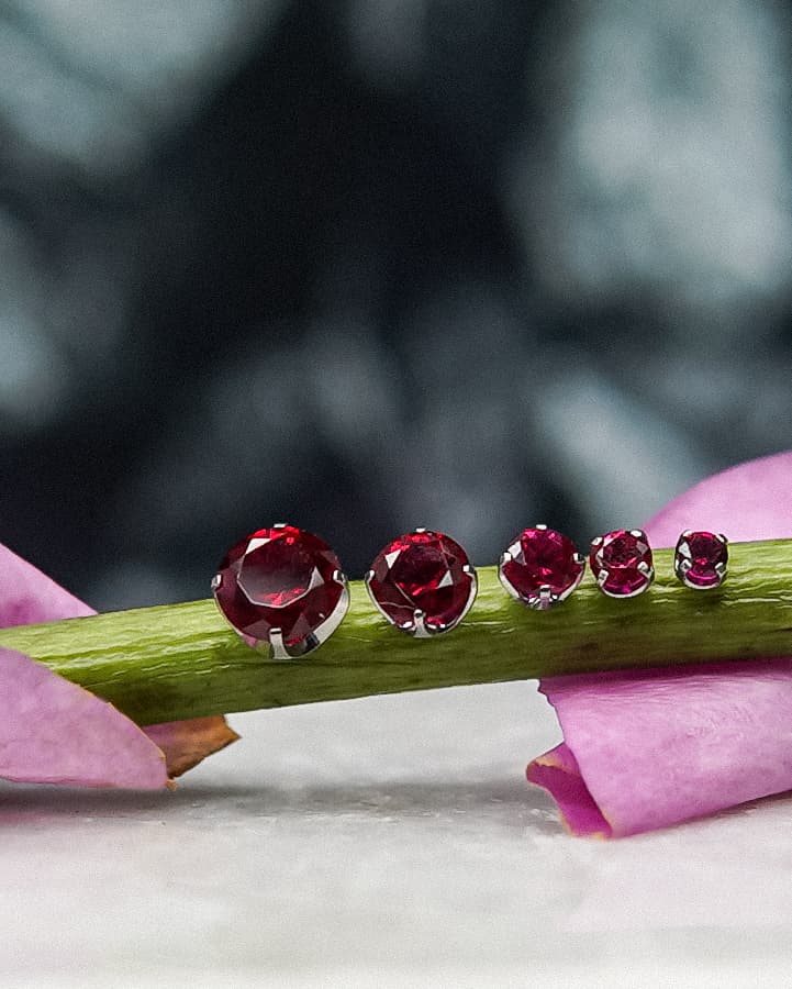 This image features a stunning set of red gemstone piercings delicately placed on a green stem, surrounded by soft pink petals. The varying stone sizes offer an elegant gradient effect, making it perfect for curated ear designs or versatile styling options.