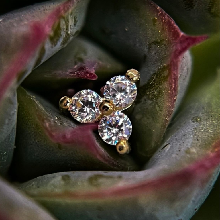 This gold diamond trinity stud nestled perfectly within a succulent's folds blends natural elegance with refined luxury. The vibrant sparkle of the stones contrasts beautifully against the organic, muted green and deep red hues of the plant. Key Highlights: Triple Diamond Design: Symbolizes balance, harmony, and timeless sophistication. Minimalist Elegance: Perfect for curated ear piercings, helix, or tragus placements. Gold Setting: Warm gold tones enhance the brilliance of the diamonds. Perfect For: Minimalists: Simple yet bold for any look. Special Gifts: Symbolizes beauty, unity, and lasting love. Curated Jewelry Fans: Adds a refined sparkle to piercings.