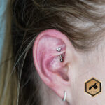 Rook