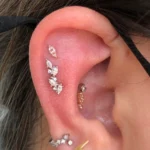 Conch