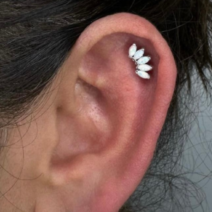Helix Piercing Platinum Tattoos & Piercings San Antonio TX